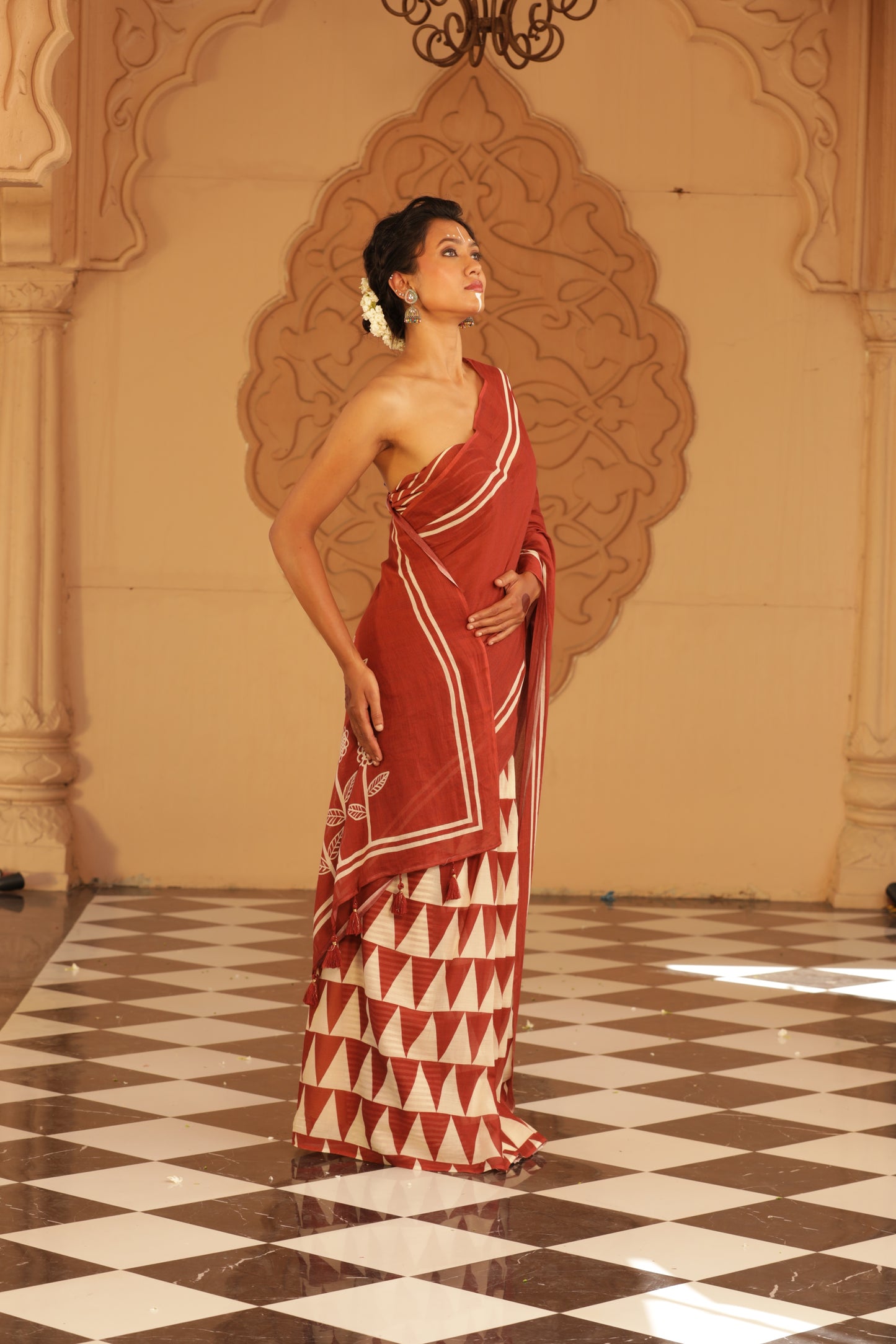 EARTHEN GEOMETRY SAREE
